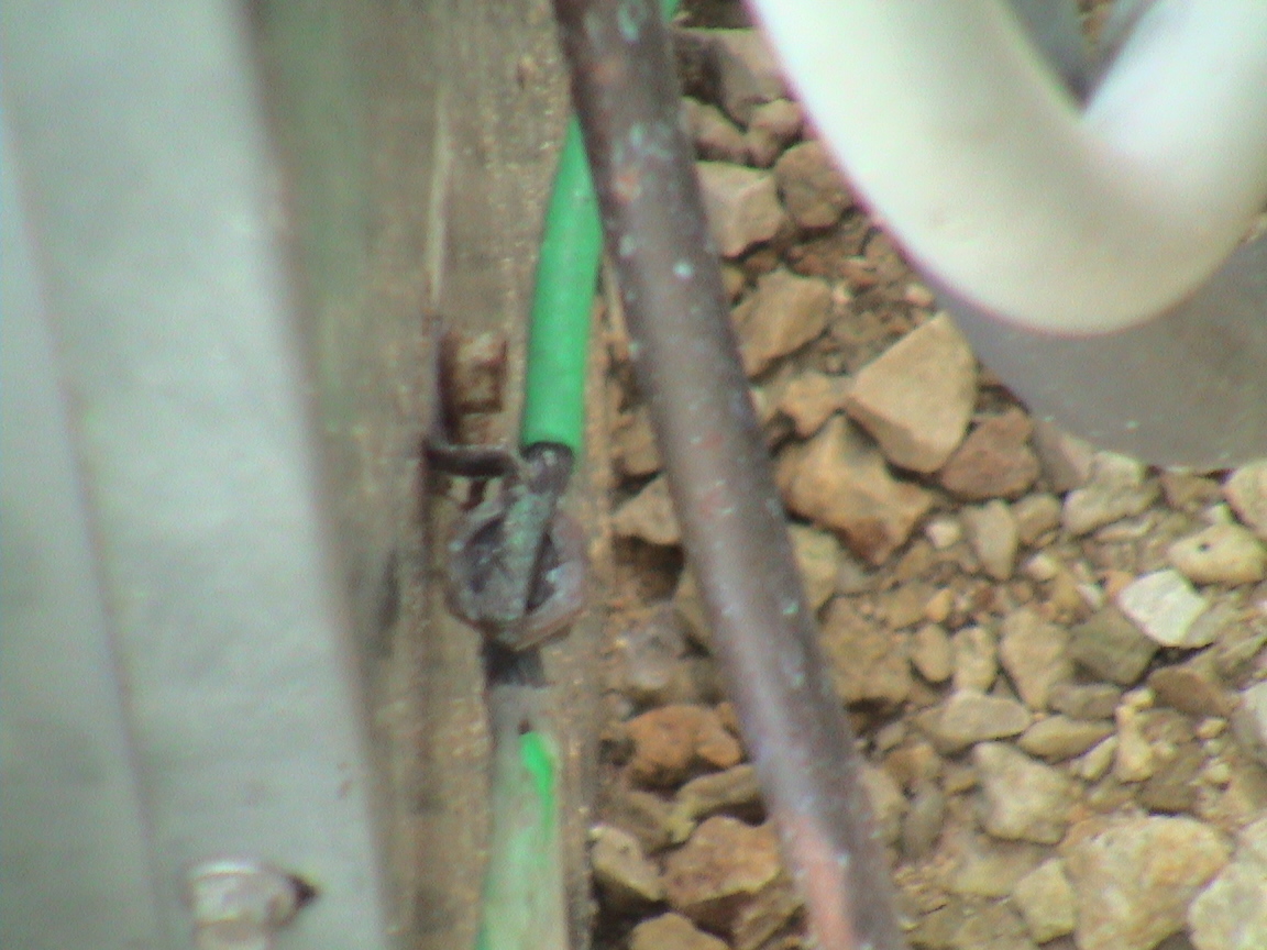 GeorgeWestMar2004 049